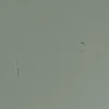Ławka ze schowkiem STAGE 120 cm drewno sosny zielona*WOOOD