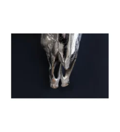 Dekoracja Matador Srebrna*Invicta Interior Sale