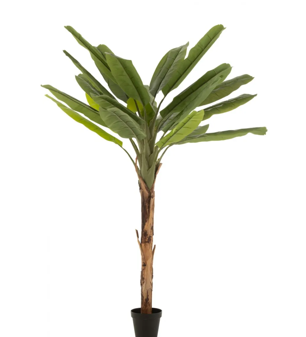 Drzewko sztuczne BANANOWIEC 250 cm*J-Line