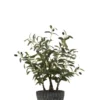 Drzewko sztuczne OLIVE 60 cm*J-Line Clearance