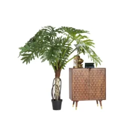 Komoda wysoka MUSKAT 75 cm drewno mango*KARE Sale