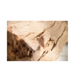Lampa Podłogowa Driftwood Black*Invicta Interior