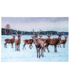 Obraz DEER 120 x 80 cm szklany*J-Line New