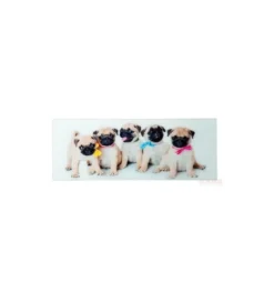 Obraz Girls&Boys 30 cm x 80 cm Assorted*KDesign Best