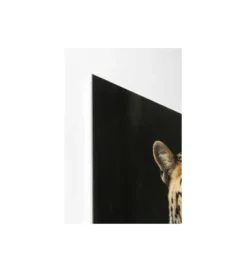 Obraz MISTER LEO 40 x 30cm*KDesign Sale