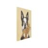 Obraz PIES Z ANANASEM 80 x 80 cm*KDesign Discount