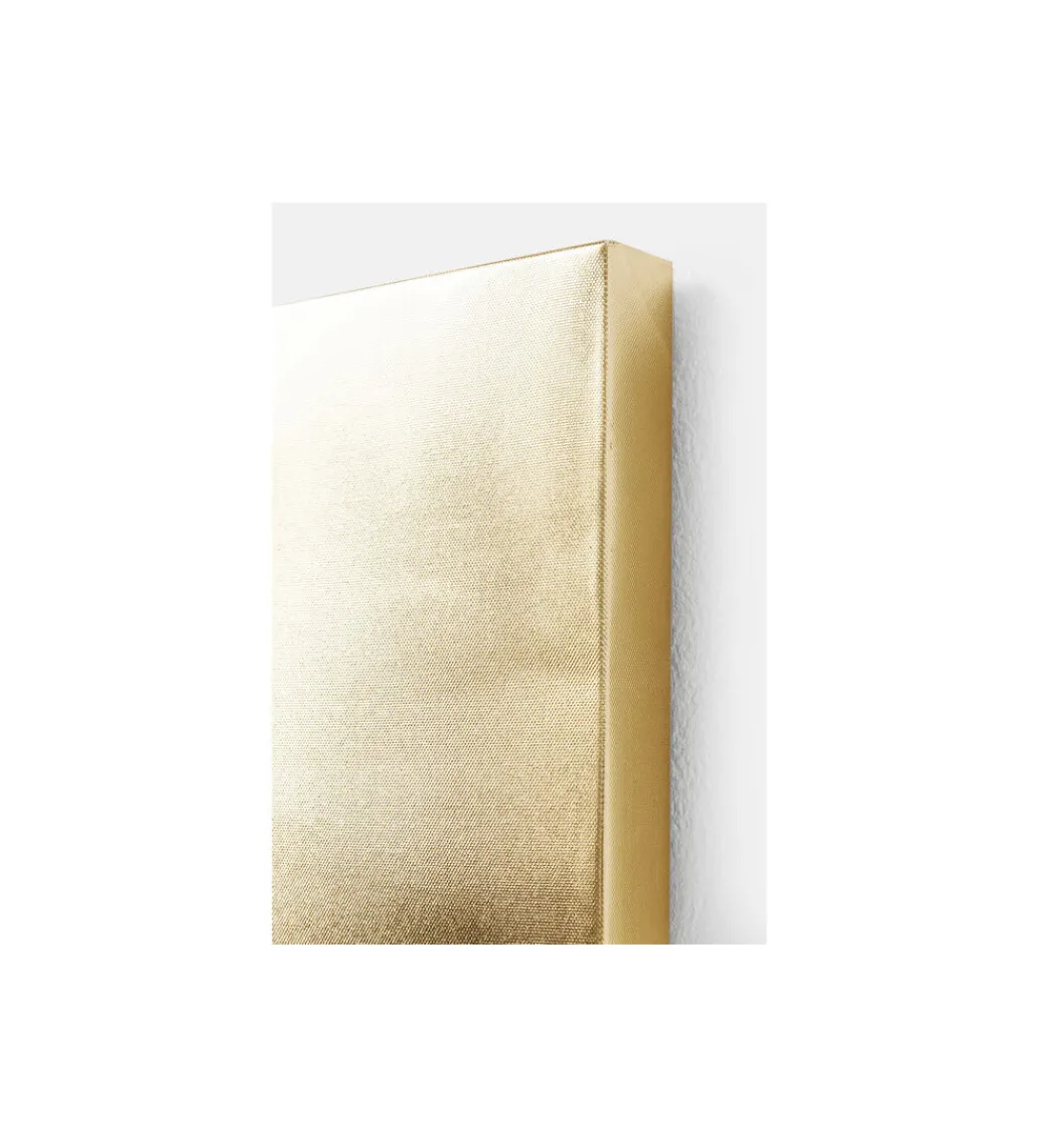 Obraz PIES Z ANANASEM 80 x 80 cm*KDesign Discount
