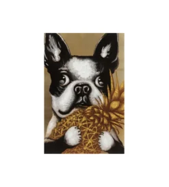 Obraz PIES Z ANANASEM 80 x 80 cm*KDesign Discount