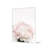 Obraz Piwonie 102 cm x 142 cm*Zona-Design Discount
