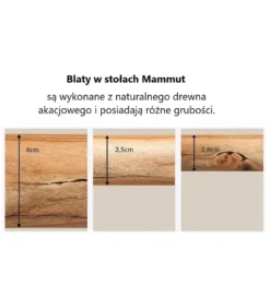 Stół ARKTYKA Mammut X 240 cm drewno Akacja honey*Invicta Interior Clearance