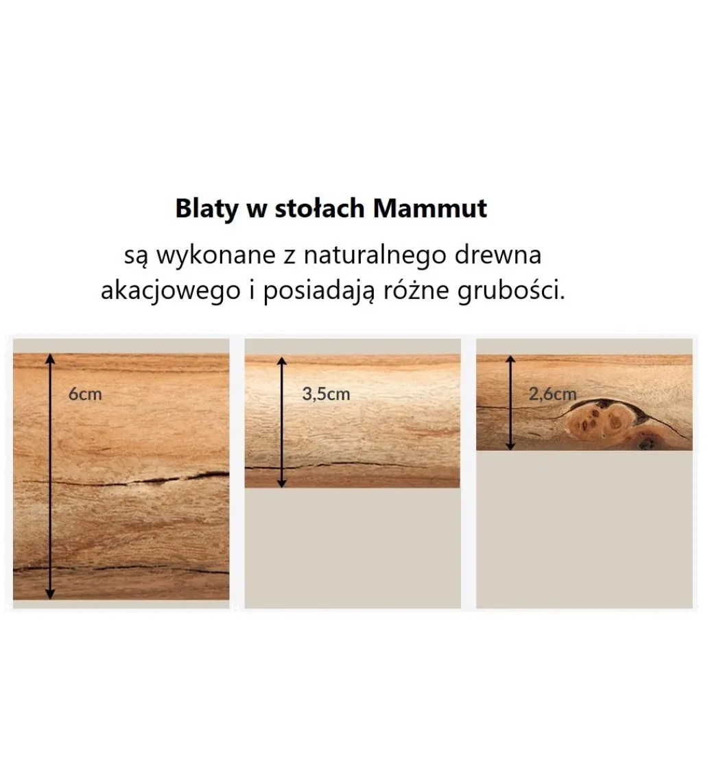 Stół ARKTYKA Mammut X 240 cm drewno Akacja honey*Invicta Interior Clearance