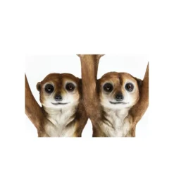 Stolik kawowy ANIMAL MEERKAT SISTERS 33 cm brązowy*KARE