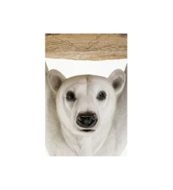 Stolik kawowy ANIMAL POLAR BEAR 37 cm biała*KARE