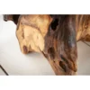 Stolik kawowy Korzeń 40 cm drewno Teak*Invicta Interior - przedsprzedaż Discount