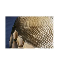 Stolik kawowy LORENZO 70 cm złoty*Invicta Interior Online
