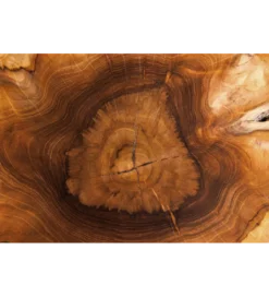 Stolik kawowy ROOT 70 cm drewno teak naturalny*Invicta Interior - przedsprzedaż