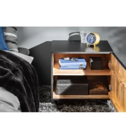 Szafka nocna ZEUS Scorpion 50 cm drewno mango*Invicta Interior Outlet