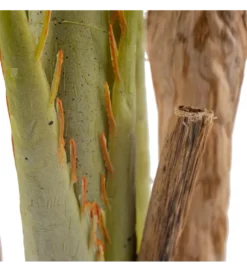 Sztuczna roślina ARECA 189 cm*Zona-Design Hot