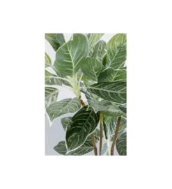 Sztuczna roślina CALATHEA 140 cm*KDesign Discount