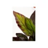 Sztuczna roślina CANNA LILY 115 cm*KDesign Hot