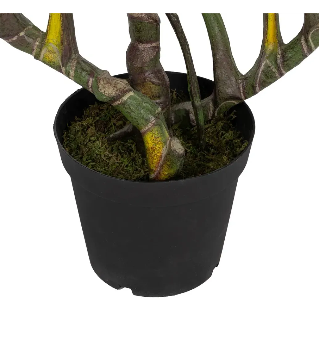 Sztuczna roślina COLOCASIA 185 cm*Zona-Design Outlet