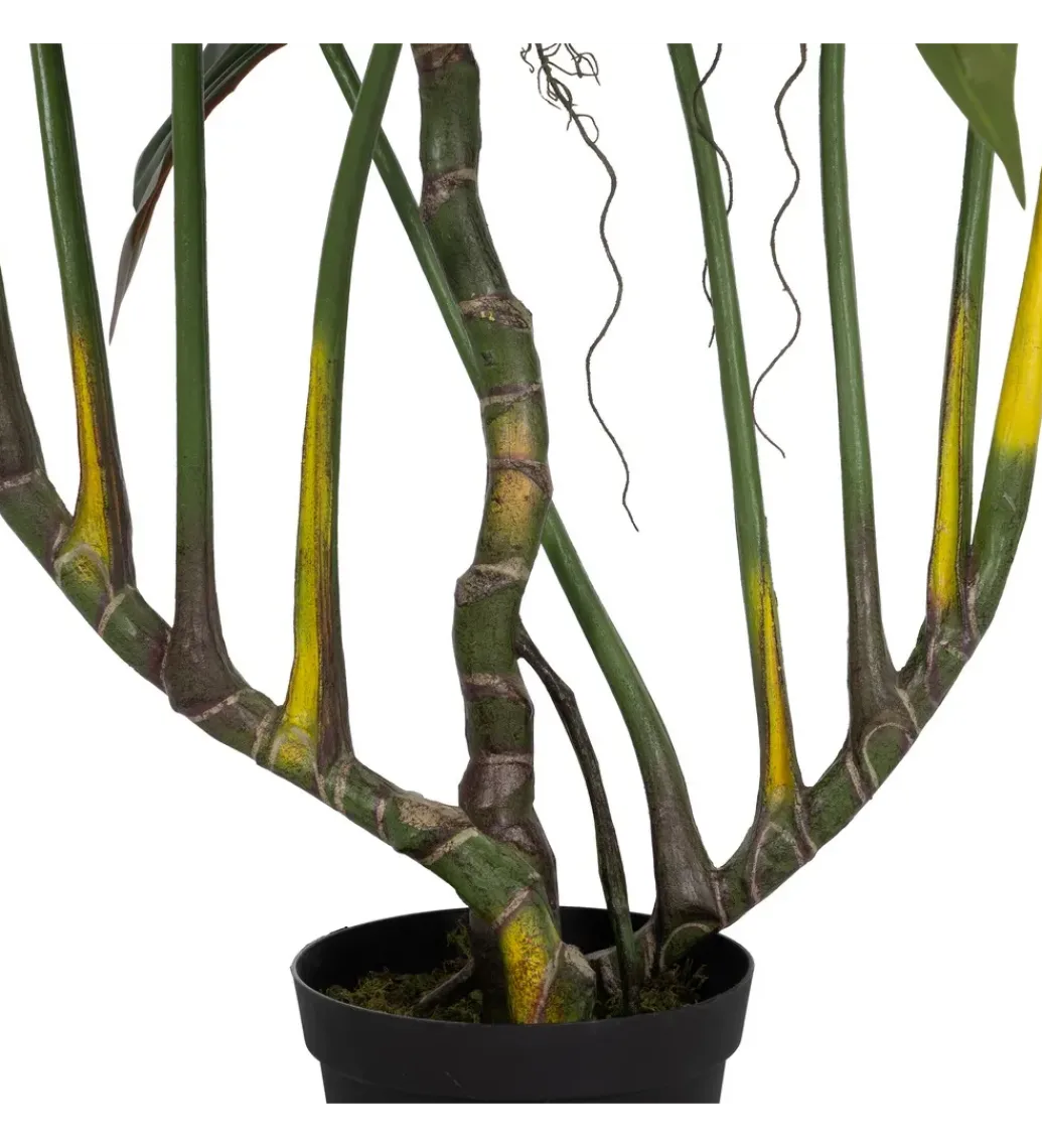 Sztuczna roślina COLOCASIA 185 cm*Zona-Design Outlet