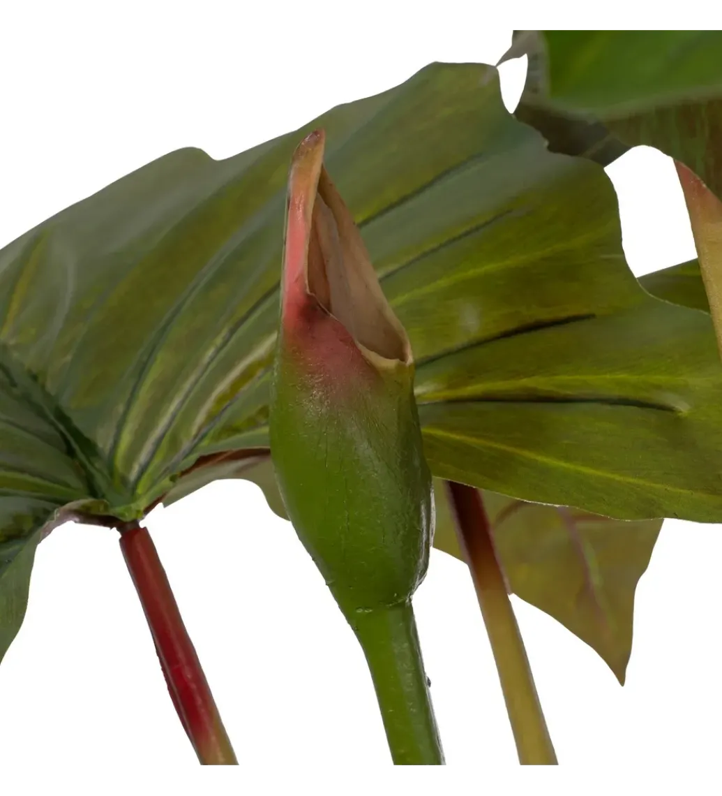 Sztuczna roślina COLOCASIA 185 cm*Zona-Design Outlet