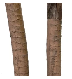 Sztuczna roślina DRACAENA 110 cm*Zona-Design Clearance