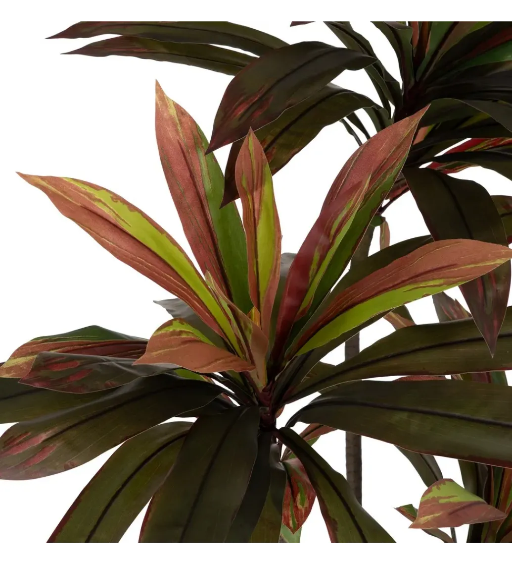 Sztuczna roślina DRACAENA 165 cm*Zona-Design