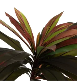 Sztuczna roślina DRACAENA 165 cm*Zona-Design