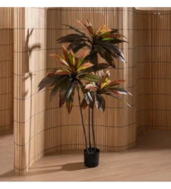 Sztuczna roślina DRACAENA 165 cm*Zona-Design