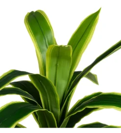 Sztuczna roślina DRACAENA 120 cm*Zona-Design