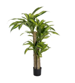 Sztuczna roślina DRACAENA 140 cm*Zona-Design Sale
