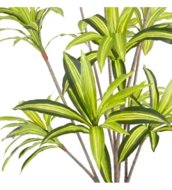 Sztuczna roślina DRACENA 210 cm*Zona-Design Clearance