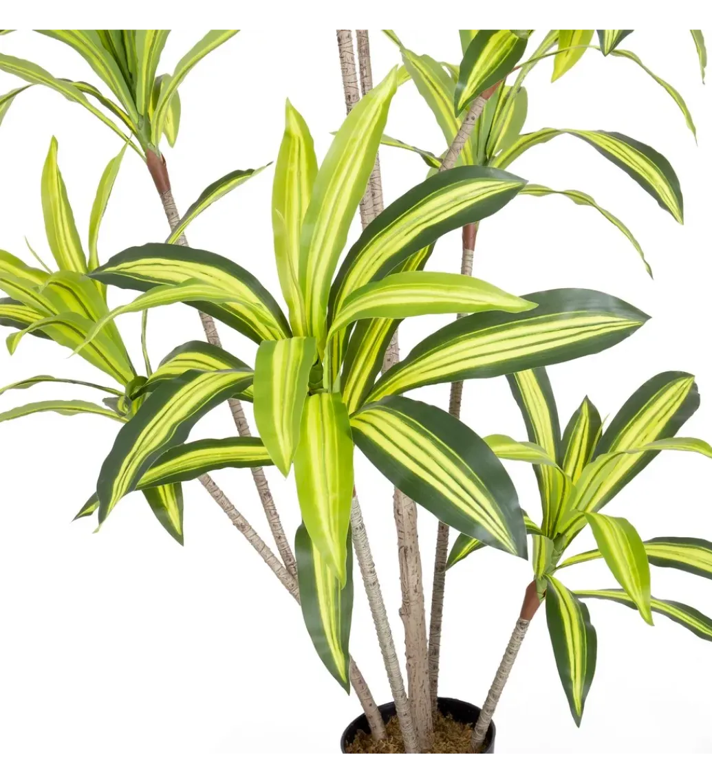 Sztuczna roślina DRACENA 180 cm*Zona-Design Clearance