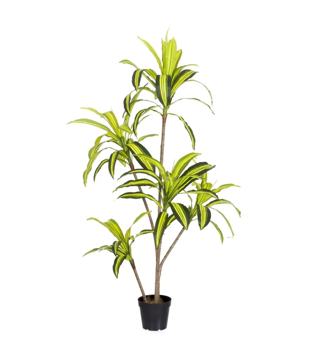 Sztuczna roślina DRACENA 150 cm*Zona-Design Online