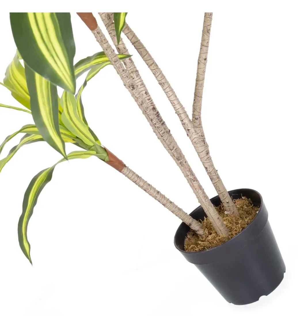 Sztuczna roślina DRACENA 150 cm*Zona-Design Online