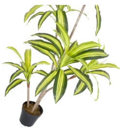 Sztuczna roślina DRACENA 150 cm*Zona-Design Online