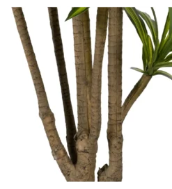 Sztuczna roślina drzewo DRACAENA 200 cm*Zona-Design New