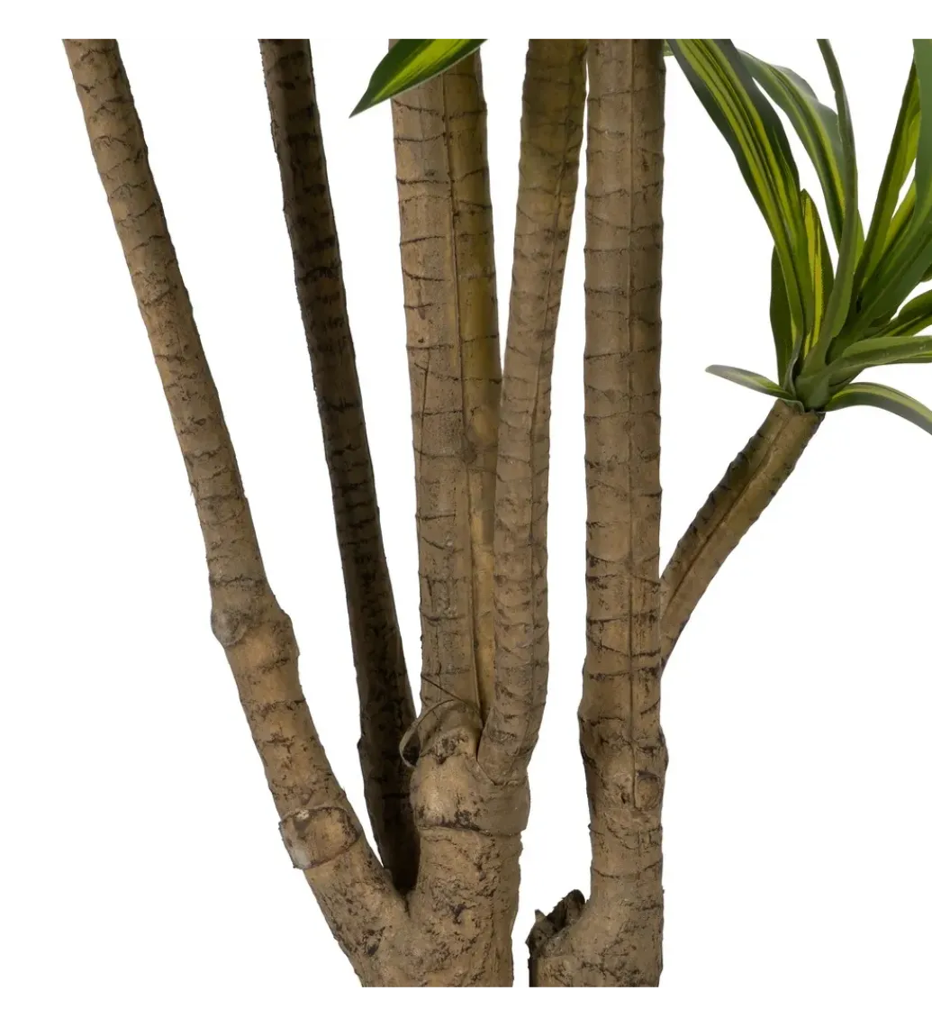 Sztuczna roślina drzewo DRACAENA 200 cm*Zona-Design New