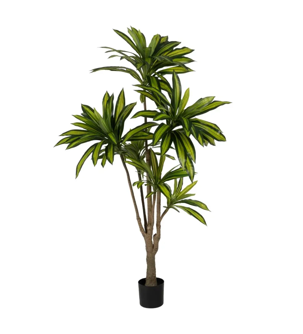 Sztuczna roślina drzewo DRACAENA 200 cm*Zona-Design New