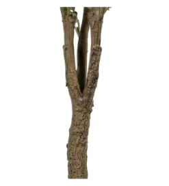 Sztuczna roślina EUKALIPTUS 173 cm*Zona-Design Clearance