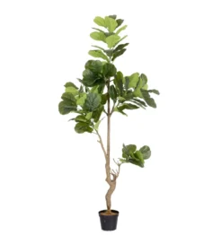 Sztuczna roślina FIKUS 200 cm*Zona-Design Outlet