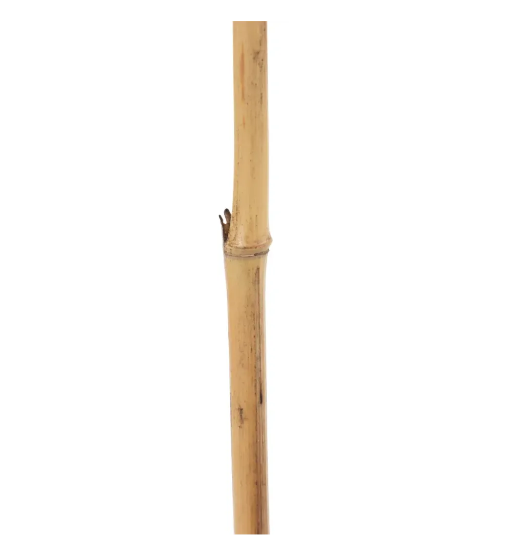 Sztuczna roślina FLOWERYTY 156 cm naturalny*Zona-Design Sale