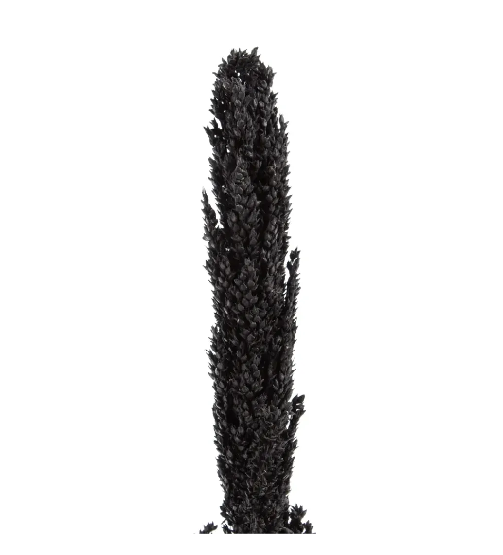 Sztuczna roślina KOSNO 190 cm naturalna czarna*Zona-Design Best
