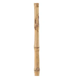 Sztuczna roślina KOSNO 190 cm naturalna czarna*Zona-Design Best