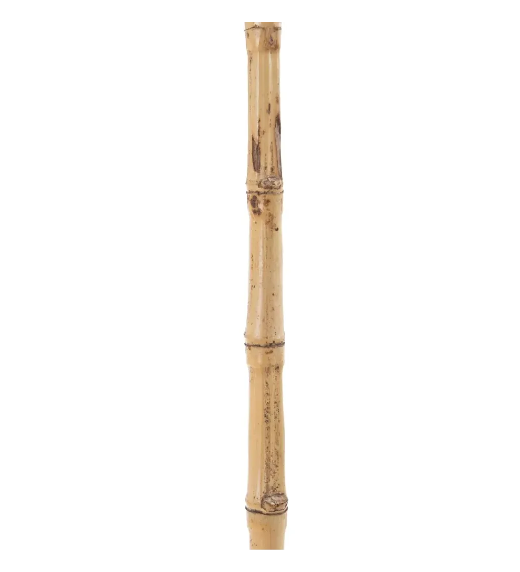 Sztuczna roślina KOSNO 190 cm naturalna czarna*Zona-Design Best