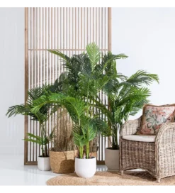 Sztuczna roślina PALMERA 170 cm*Zona-Design Best