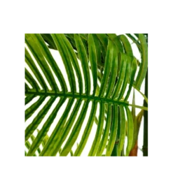 Sztuczna roślina PALMERA 170 cm*Zona-Design Sale