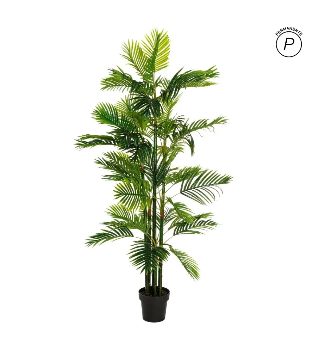 Sztuczna roślina PALMERA 170 cm*Zona-Design Sale